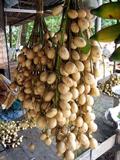 Rambai